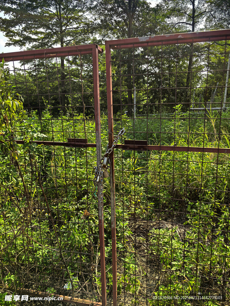 野外绿植中的金属框架