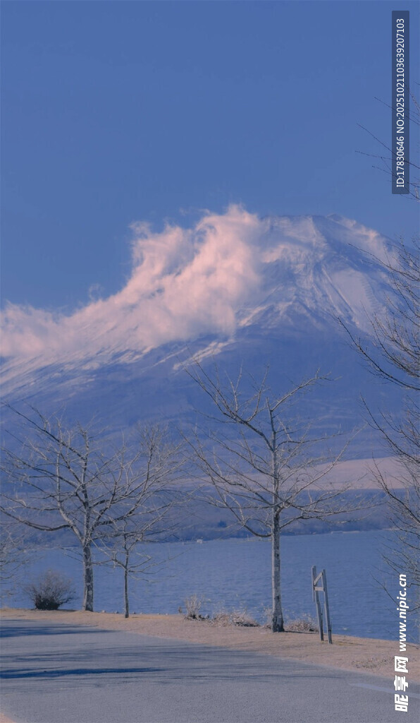 富士山雪景下的宁静道路