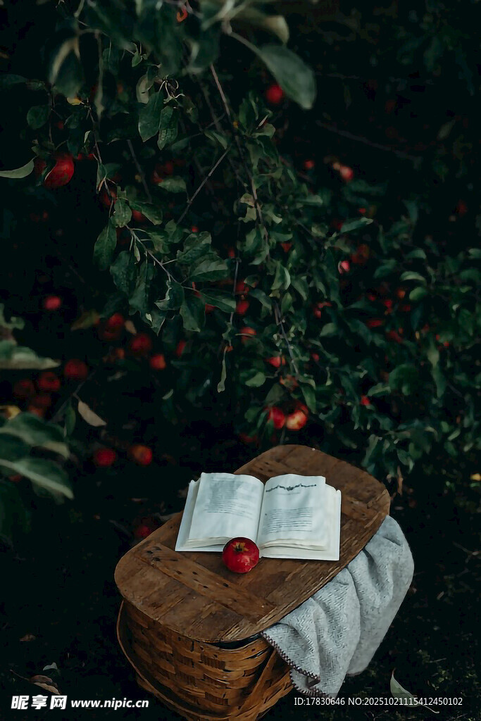 苹果树下的静谧阅读时光