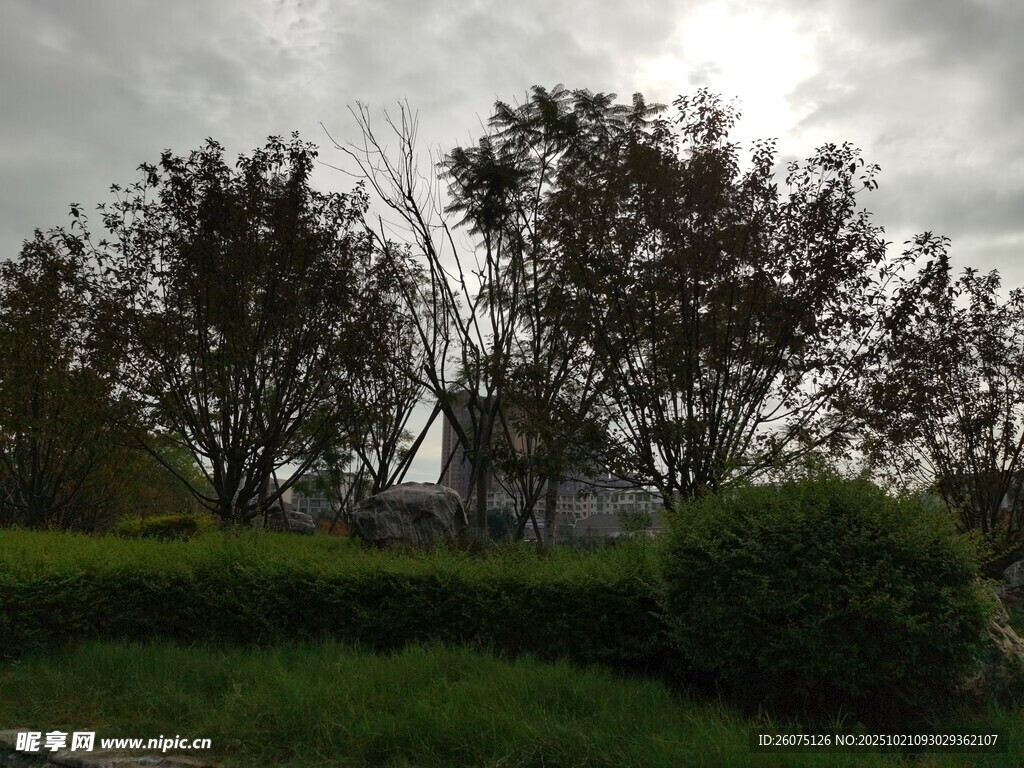 阴天中的小屋与绿植