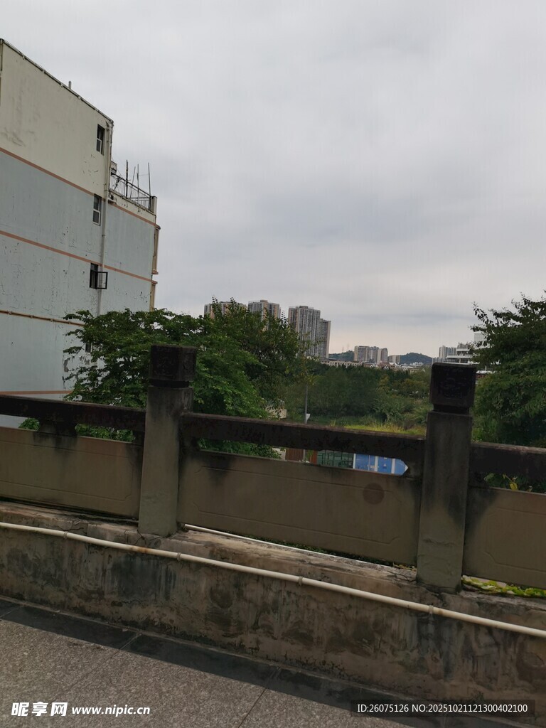 城市桥梁边的建筑与绿植