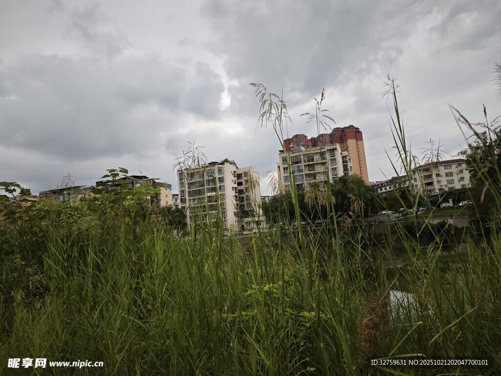 荒废草地旁的老旧居民楼