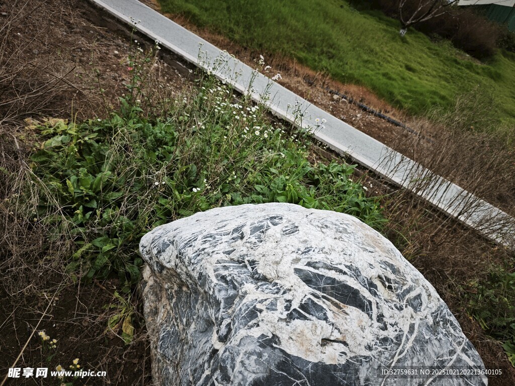 户外大石与周边自然景致