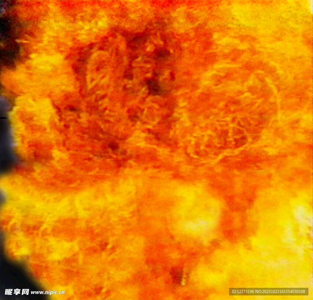 熊熊燃烧的火焰