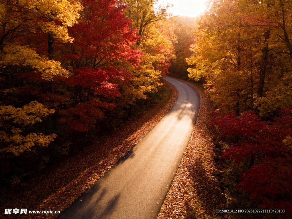 秋日林间公路的迷人景致