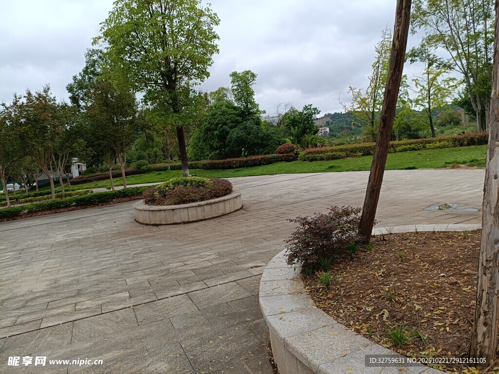 户外休闲的宁静园林场景