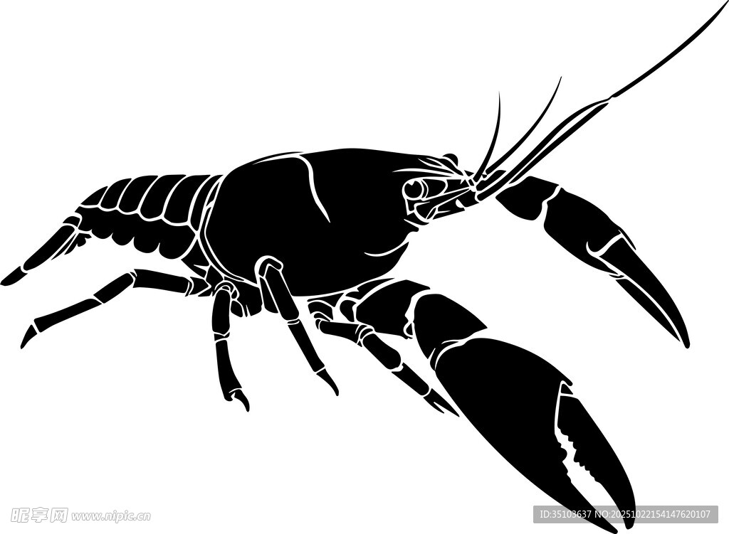 黑色小龙虾剪影