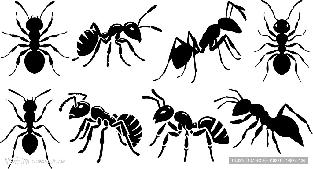 多样姿态的蚂蚁图案