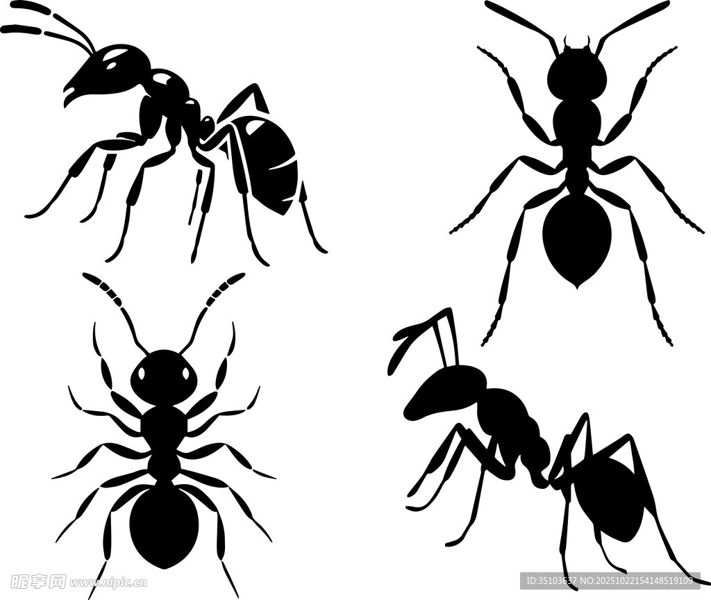 蚂蚁剪影图案