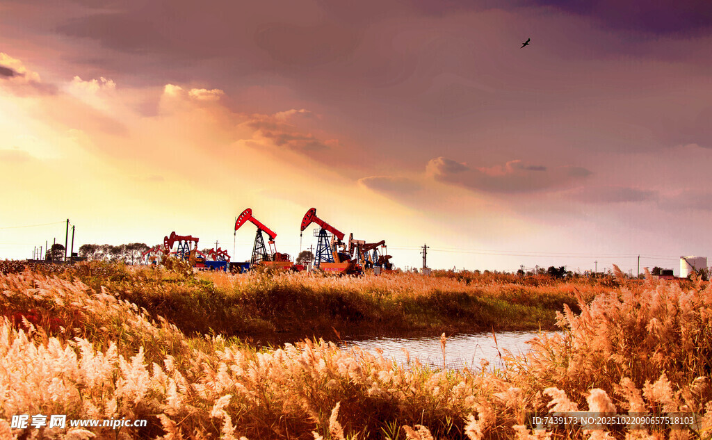 油田风光