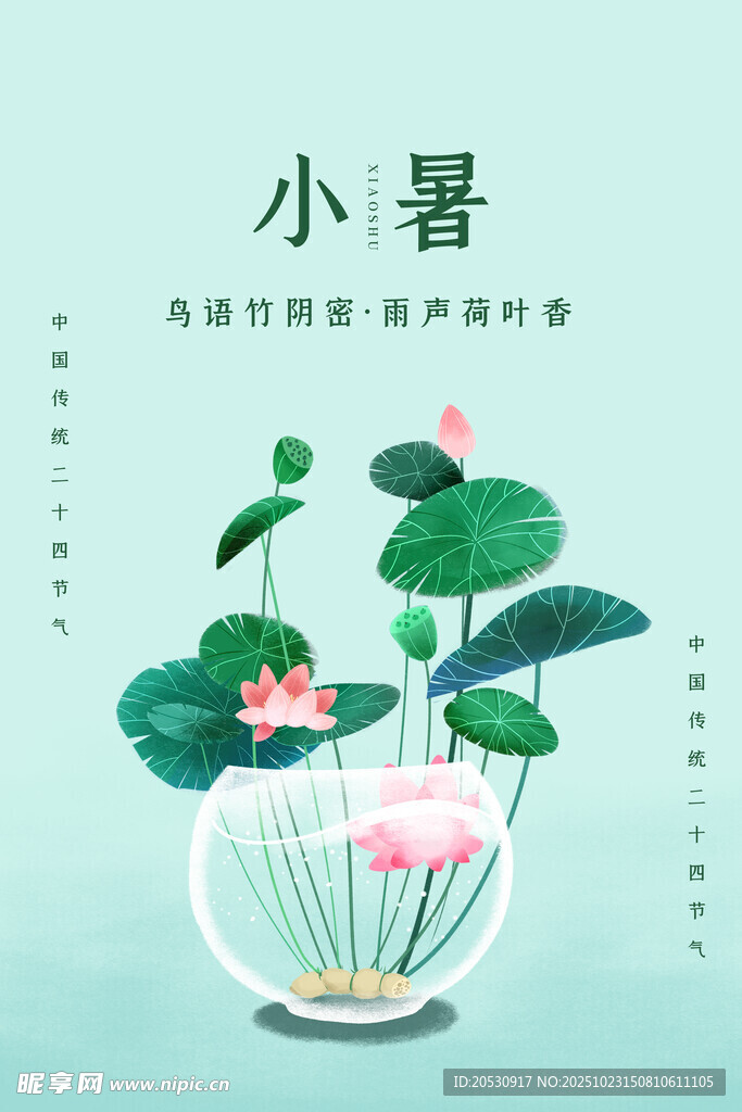 小暑时节荷花玻璃缸景致