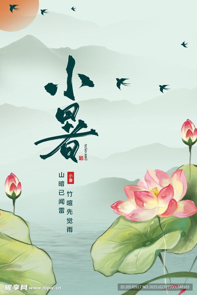 小暑时节荷花绽放图景