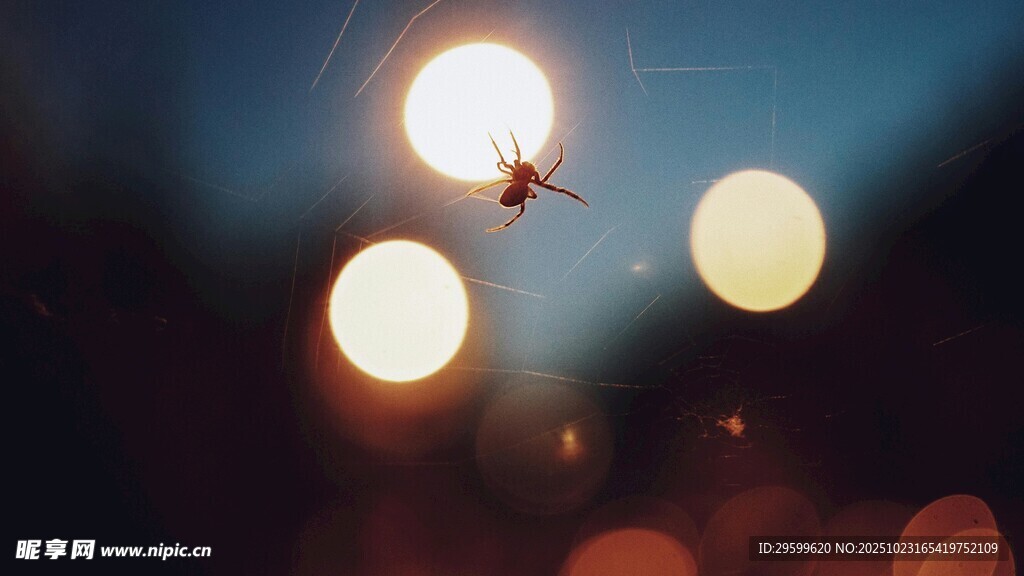 夜空中的光斑与飞翔昆虫