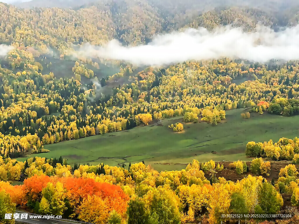 阿勒泰秋日山林美景