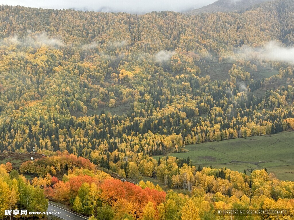 阿勒泰秋日山林美景