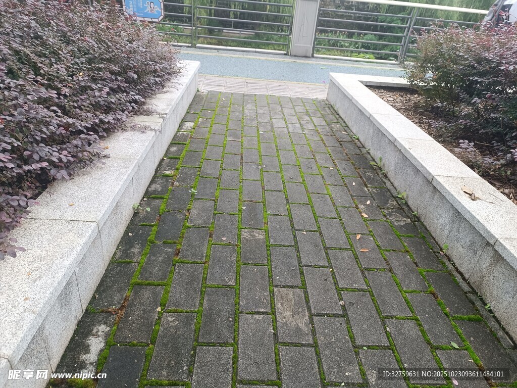 长满青苔的砖石小径