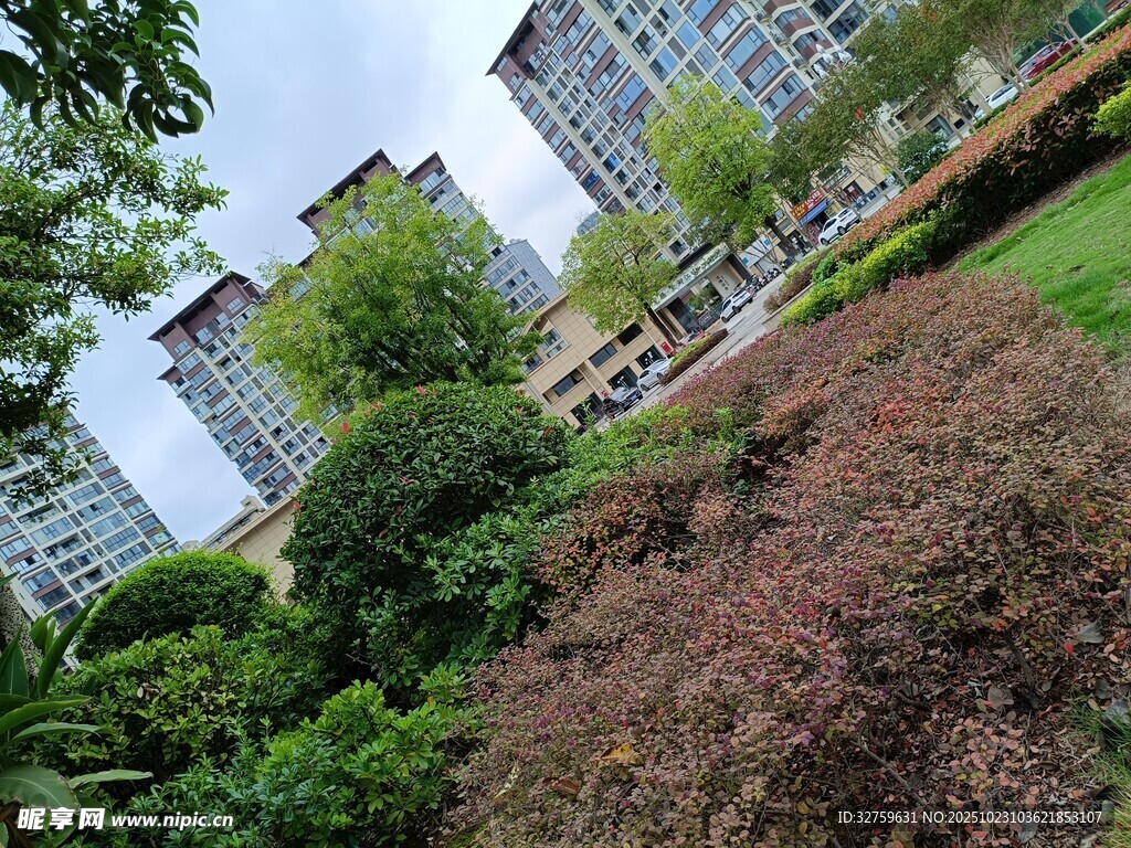 城市绿植环绕的高楼景观