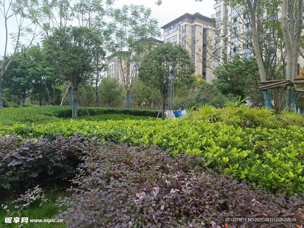 城市中的多彩绿植景观