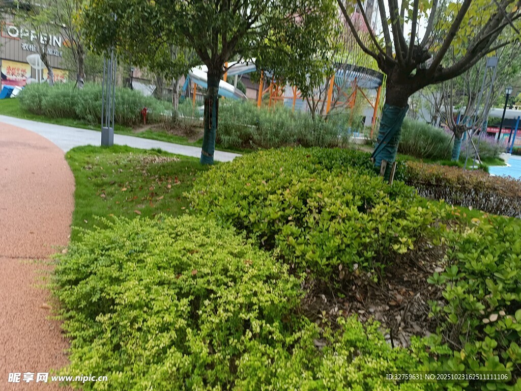 城市绿化带景观