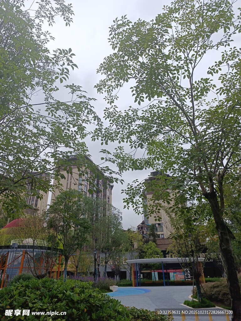 小区内绿树环绕的休闲场景