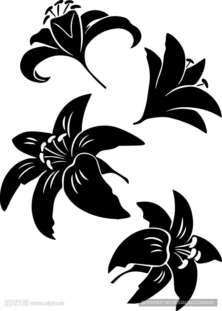 黑色百合花剪影图案