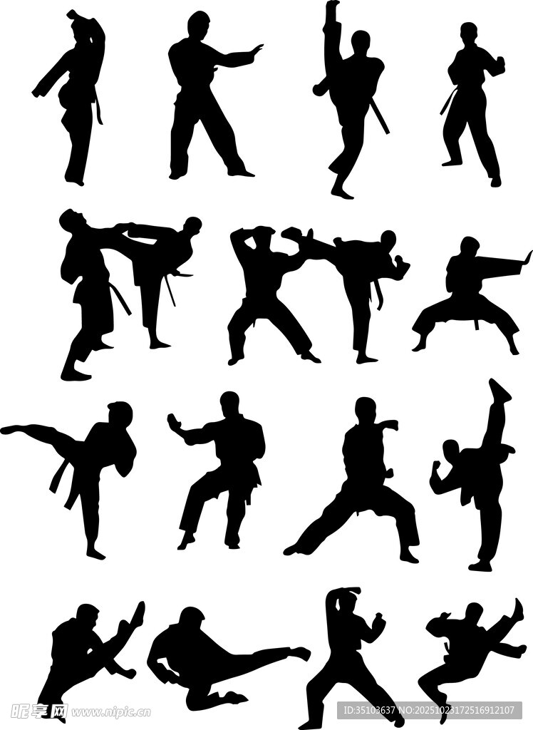 武术动作剪影