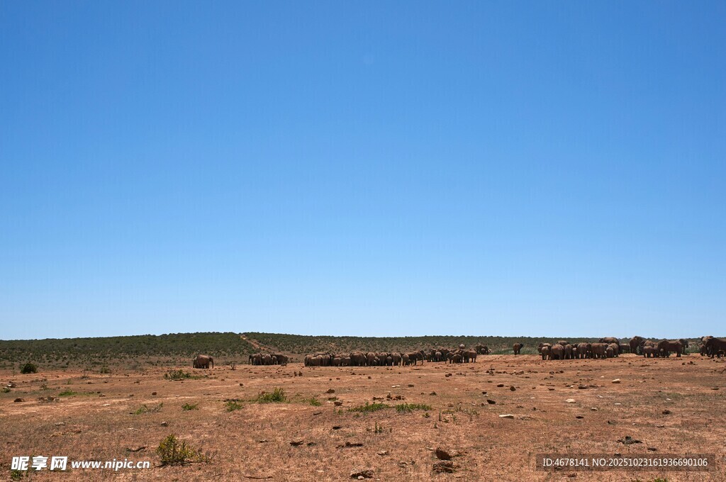 广袤荒原蓝天景象