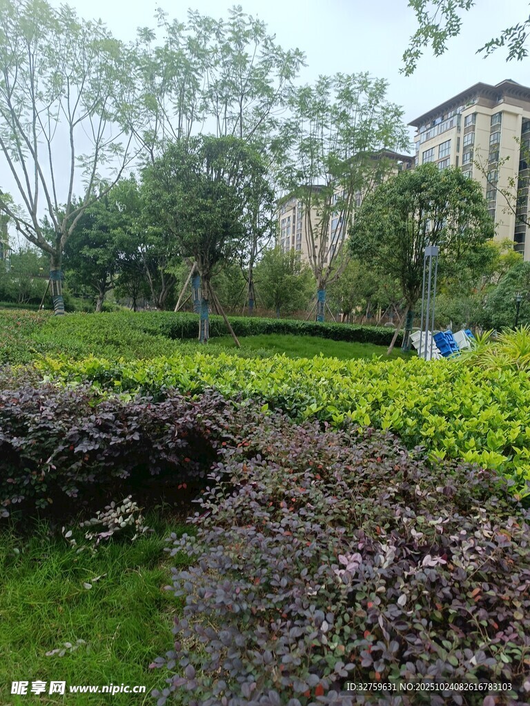 美丽园林景观一角