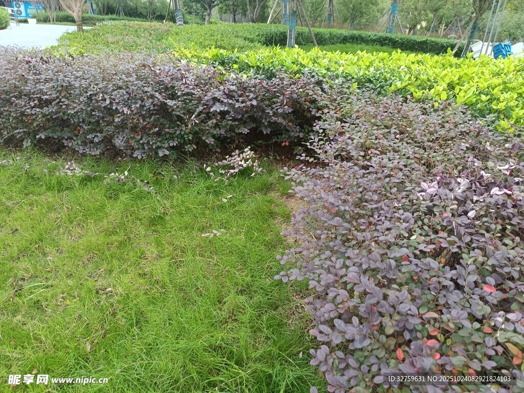 多彩植物景观一角