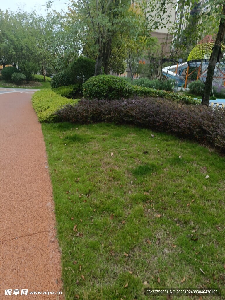 路边绿意盎然的草地与灌木