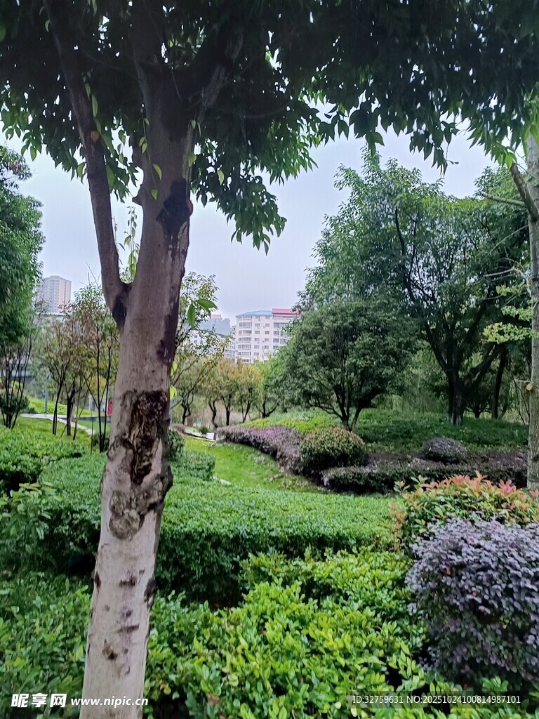 园林景观中的绿植与树木