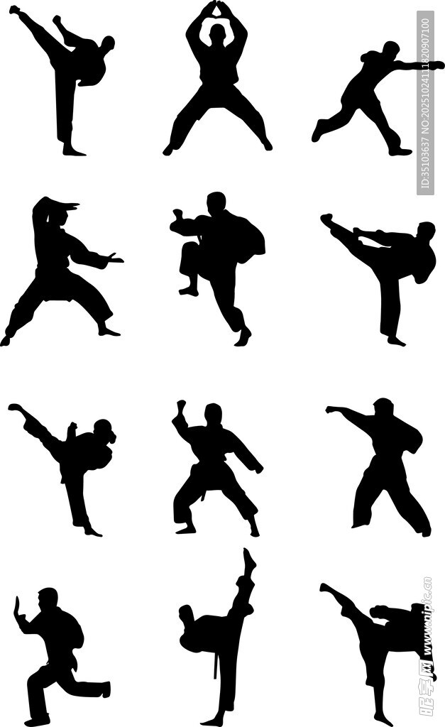 多样武术动作剪影