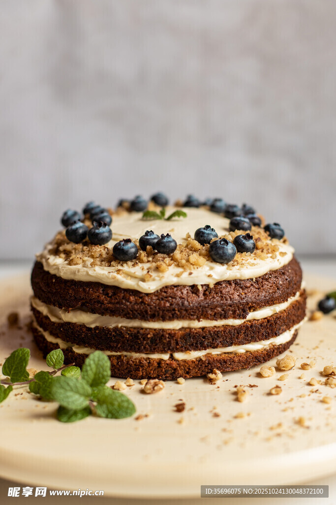 蓝莓坚果装饰美味巧克力蛋糕