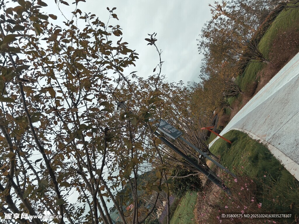 秋日树林中的白色建筑一角