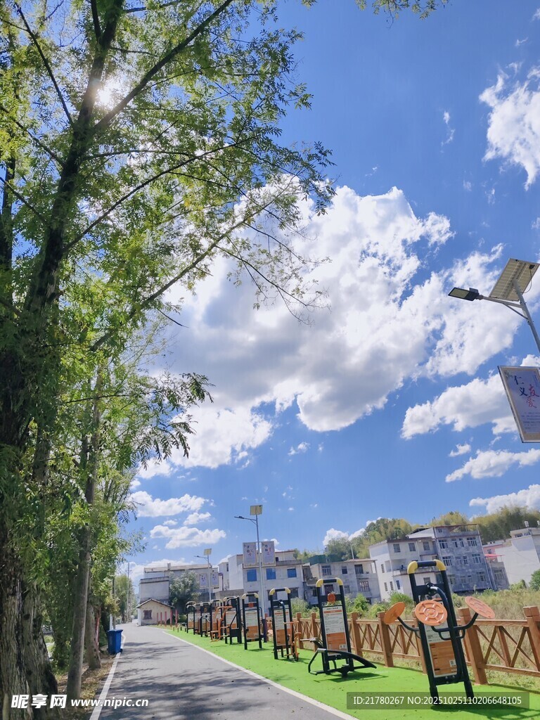 城市公园 绿树蓝天