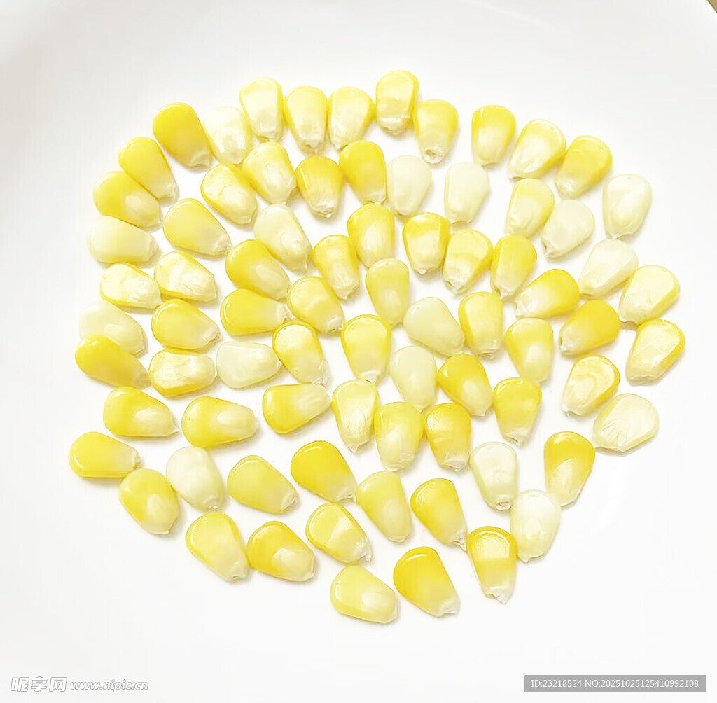 玉米粒