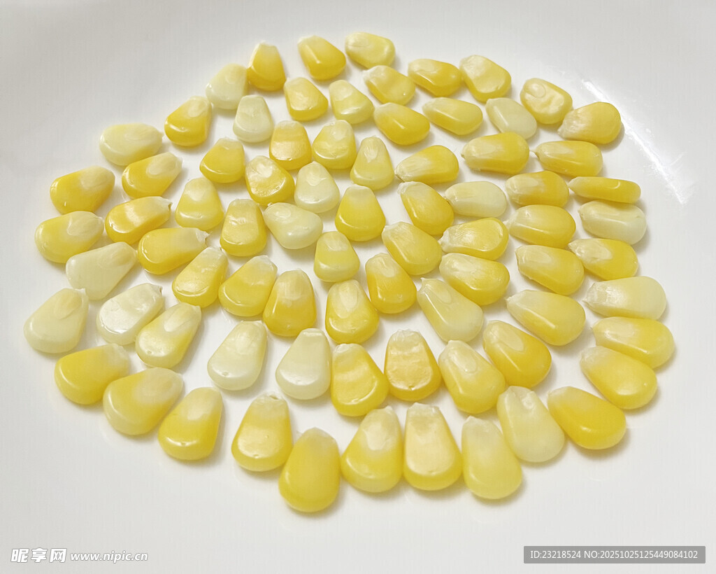 玉米粒