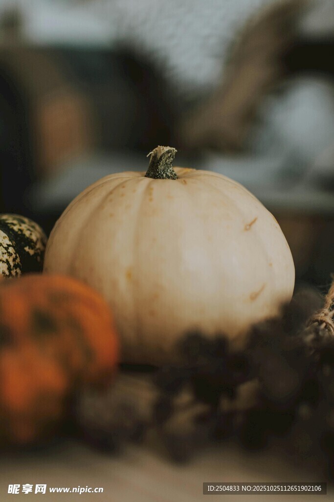 秋季南瓜静物摆拍