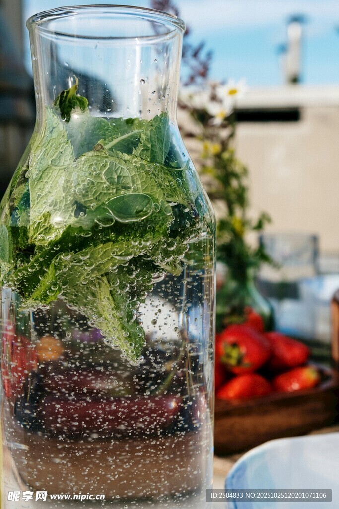 玻璃瓶中的迷你绿植世界