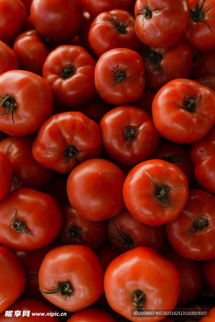 一堆新鲜红番茄
