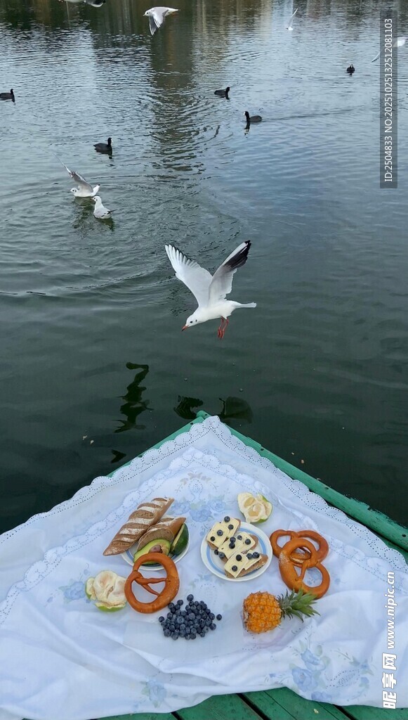 湖畔野餐遇飞翔海鸥