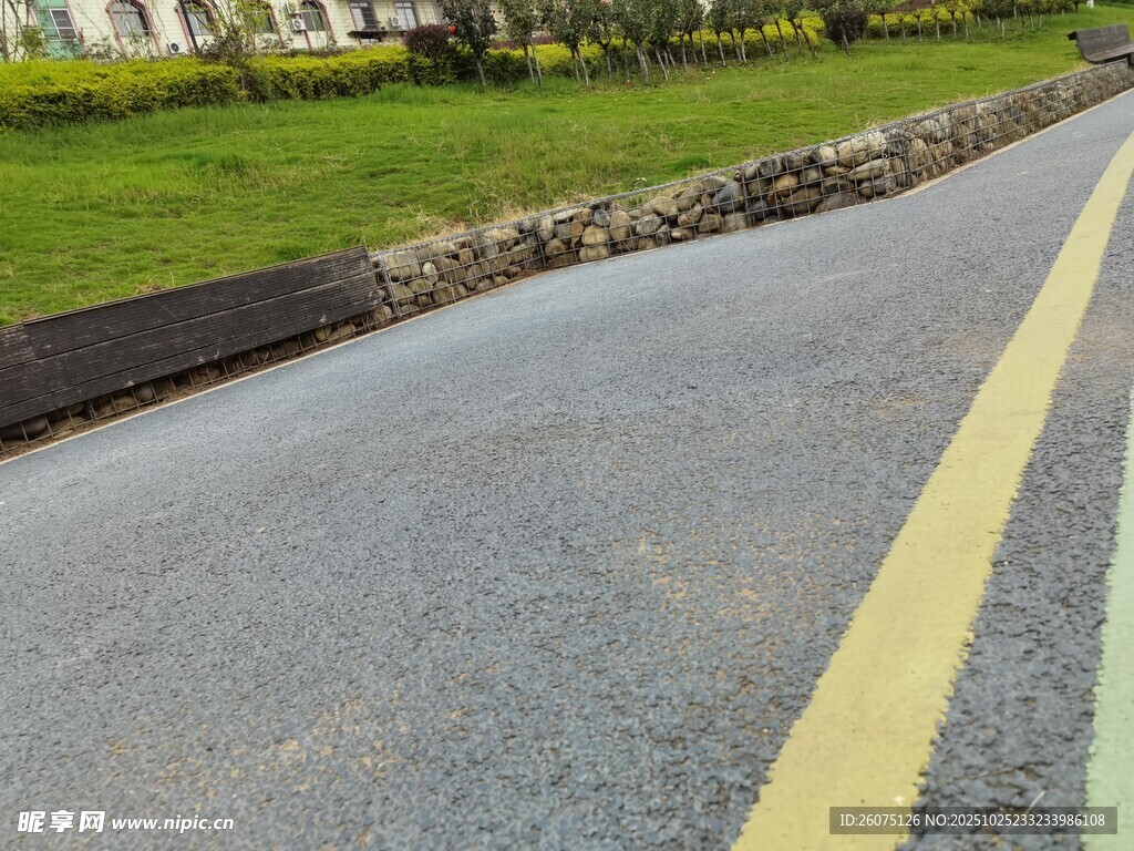 道路旁的绿化带与黄标线