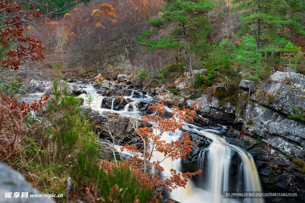 秋日山林中的潺潺溪流