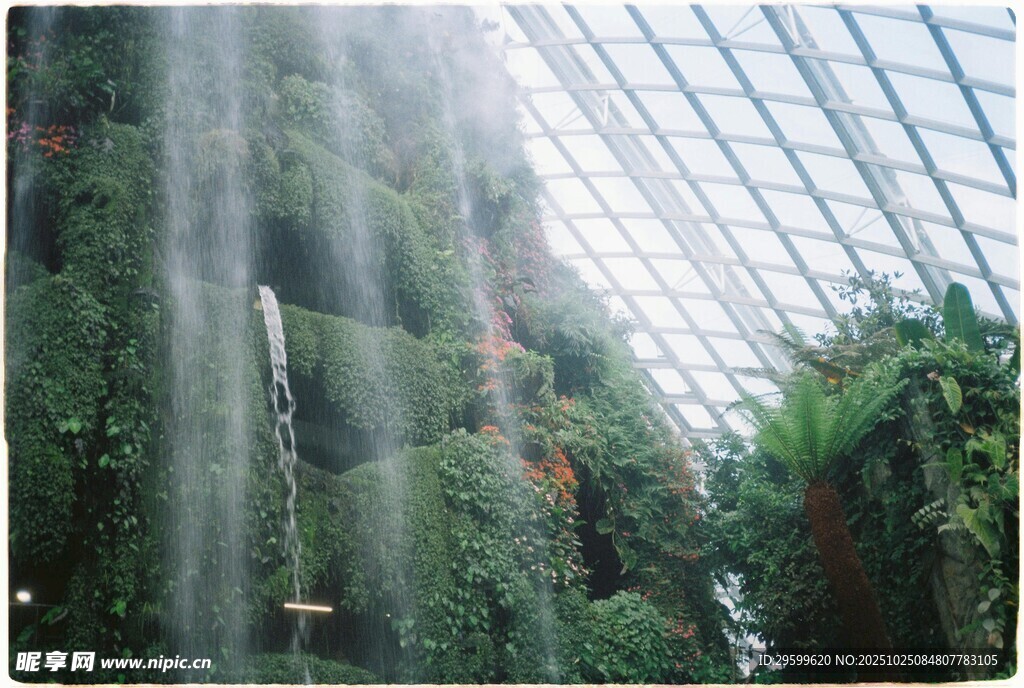 室内垂直绿植景观