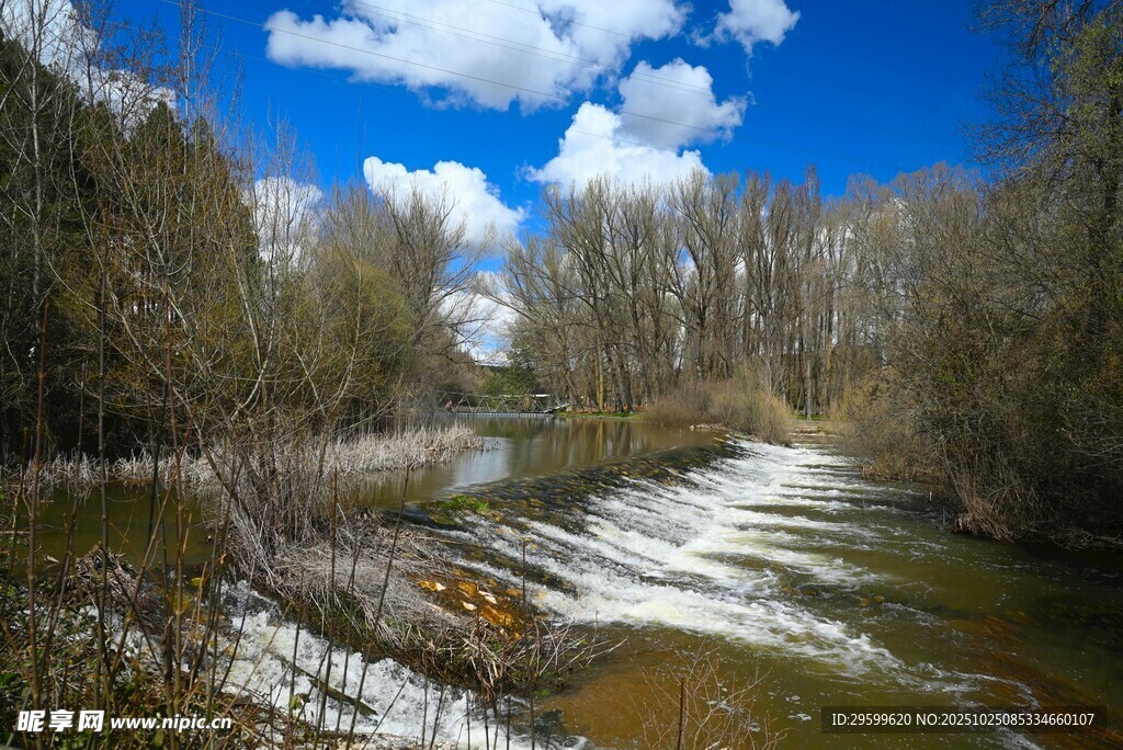 春日河畔雪景与葱郁树木