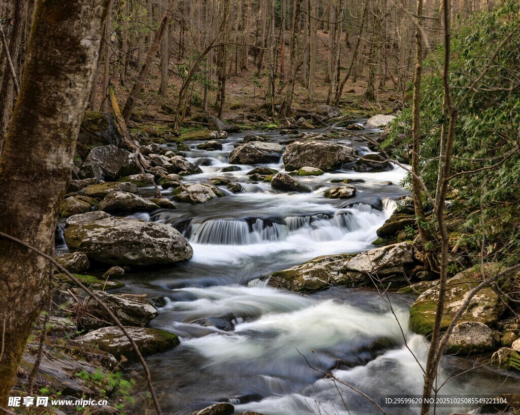 山林间潺潺流淌的清澈溪流
