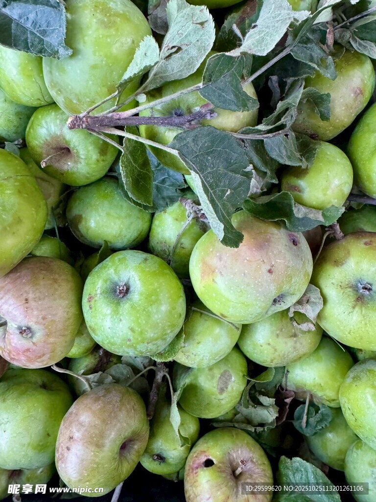 一堆青红相间的新鲜苹果