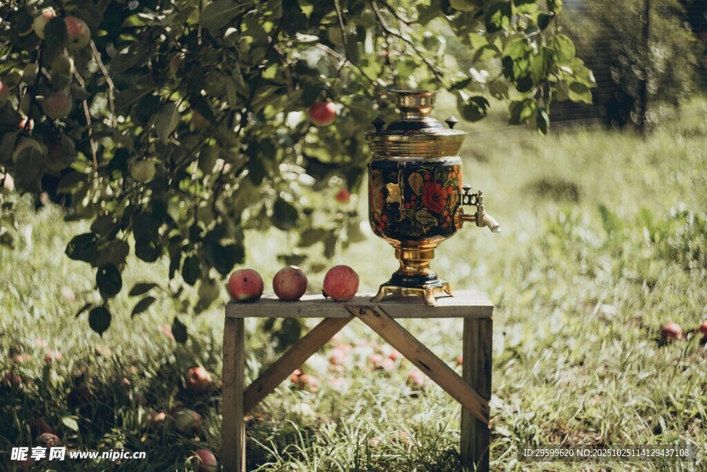 户外草地上的俄式茶炊与苹果