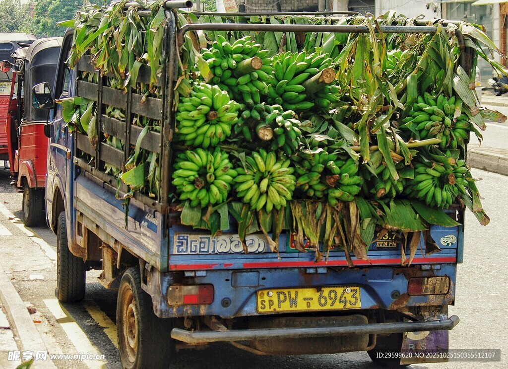 货车满载香蕉待运输