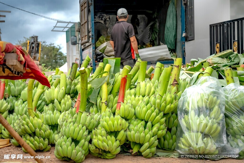 街头水果摊的新鲜香蕉